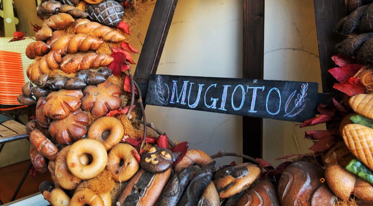 2026年4月18日（土）に「麦音ホースパーク　馬と小麦の丘」がオープンします。「麦音ホースパーク　馬と小麦の丘」の場所は、北海道帯広市稲田南8線16-43「ますやパン 麦音」の敷地内にある麦音馬牧場です。 日本一広いベーカリーで洋食歴40年の馬渕シェフの特別限定メニューがいただけるイベント！2025年12月6日（土）限定20名・要予約　十勝　帯広　北海道　麦音　Bakery麦音Parlor　ますやパン　〒080-0831 北海道帯広市稲田南８線１６−４３　#もくフェスとかち実行委員会 薪割り、木工体験やツリーイングなど木に関わる様さまざまな体験ができます。小さなお子さんから、大人まで、みんなで、木とふれあう素敵な休日をすごしてみませんか？ 令和7年5月11日(日) 10:00〜15:00　 今年も帯広市　麦音にて開催！　〒080-0831 北海道帯広市稲田南８線１６−４３ ますやパン麦音　2020満寿屋麦音店内パンリースオブジェ