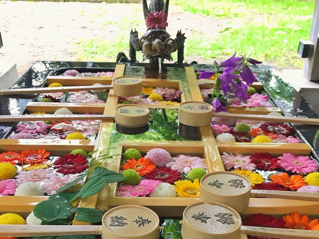帯廣神社「夏詣」の様子