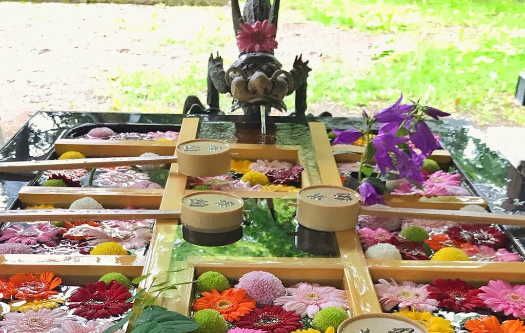帯廣神社「夏詣」の様子