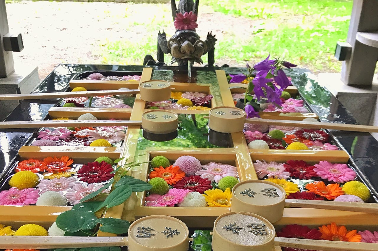 帯広市 最新22年 21年帯廣神社の 花手水 情報はこちらです 号外net 帯広市 十勝支庁