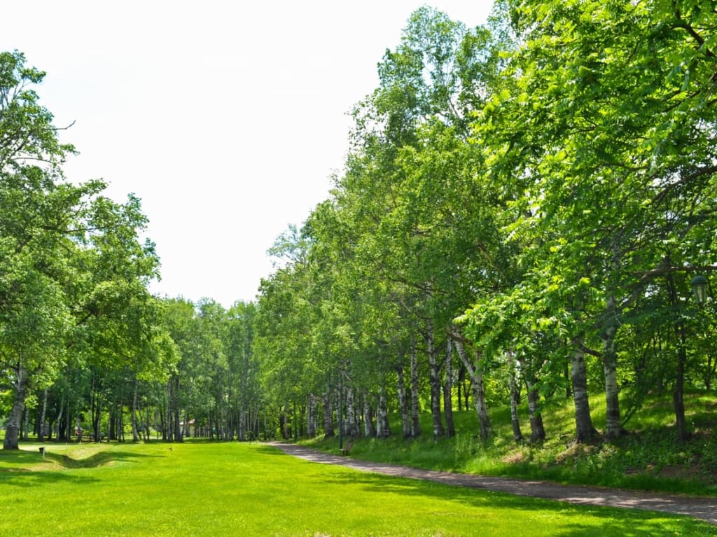 緑ヶ丘公園　image