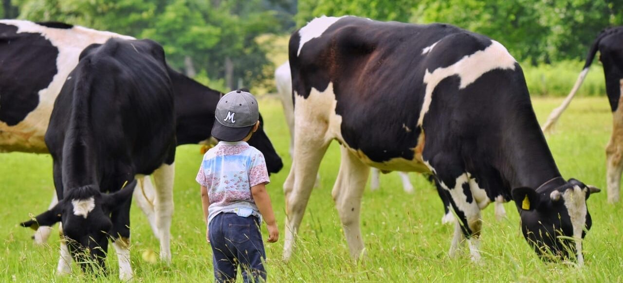 十勝広尾町にある鈴木牧場が日本唯一のオーガニック、グラスフェッド、ノンホモ、低温殺菌、A2ミルクの牛乳使用の、無添加ソフトクリームをお届けします 十勝広尾町 鈴木牧場 オーガニックソフトクリーム 2026年春 北海道 広尾町 鈴木牧場 オーガニック牧場 〒089-2446 北海道広尾郡広尾町紋別16線14番地5 新作アイス先行で食べられます ソフトクリーム割引券もらえます オーガニックのちょっといい話聞けます 十勝の塩 026年春より 鈴木牧場オーガニックソフトクリーム号 が出動しオーガニック グラスフェッド ノンホモ 低温殺菌 A2ミルク 無添加 無添加アイスクリーム 日本唯一 無添加ソフトクリーム Organic Talk Live 2026年3月29日(日) 14:00〜15:30 音更町総合福祉センター 2階研修室1 参加費:無料 020年オーガニック認証取得 2023年 グラスフェッド認証取得 2024年 ISO22000 食品安全マネジメントシステム取得 牛と子ども