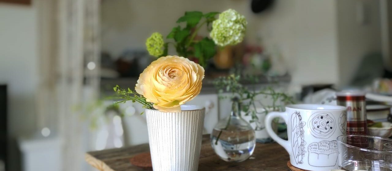 韓国料理 甘・唐 かんから 帯広人気韓国料理店 2026年3月28日(土)をもって閉店 〒080-0011 北海道帯広市西1条南9丁目14−3 1F 帯広駅から徒歩7分 車で4分ほど 西1条通沿い 居酒屋 韓国料理店 帯広グルメ 帯広夜ご飯 帯広韓国料理 帯広ディナー 帯広駅 チーズダッカルビ 海鮮チヂミ チゲ 帯広チゲ 閉店 カフェ イメージ