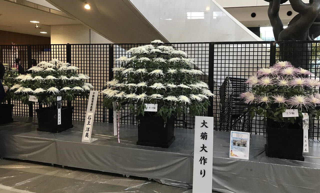 第57回おびひろ菊まつり おびひろ菊まつりは、色彩豊かな菊を観賞する秋のまつりです 駐車台数に制限がございます。公共交通機関をご利用の上お越しください 菊まつり来場のみを目的とする、近隣施設への駐車はご遠慮ください 開催期間 2026年10月31日(土曜日)から2026年11月4日(水曜日)まで 開催時間 午前9時 から 午後5時 まで 初日は午前10時から、最終日は午後4時まで 開催場所 とかちプラザ 帯広市西4条南13丁目1(JR帯広駅南口すぐ)
