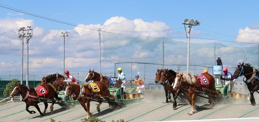 2026年　年末年始　イベント　2026年1月2日（金）～4日（日）迎春イベント　2026年1月2日（金）～4日（日）の3日間　ばん馬で新春　帯広競馬場 迎春イベント　ばんえい十勝　来場者プレゼント　　令和７年４月２５日（金）に帯広競馬場において、馬インフルエンザの発生が確認されており、感染拡大防止の観点から、５月３日（土）～５日（月）開催予定の帯広市第２回ばんえい競馬４日目～６日目及び５月９日（金）開催予定の能力検査については中止といたします。 ふれあい動物園が当面の間、閉園に伴いホースショーを中止いたします。 ばんえい十勝 春の開幕イベント　来場者イベント　2025年4月18日（金）～22日（火）　2025年4月20日（日）「十勝ポテトフェア」開催！大人気、十勝冷燻工房の燻製塩の十勝産男爵手作りポテトチップス試食も！？ イレネー記念　2025年3月9日（日）　農林水産大臣賞典 第55回 ばんえい記念　帯広市　帯広競馬場　2023年　令和5年　イベント 　イレネー記念　ばんえい記念　イベント　2024年3月