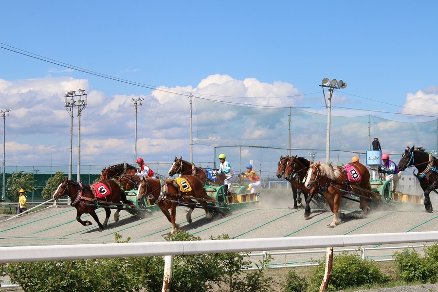 農林水産大臣賞典 第55回 ばんえい記念　帯広市　帯広競馬場　2023年　令和5年　イベント 　イレネー記念　ばんえい記念　イベント　2024年3月