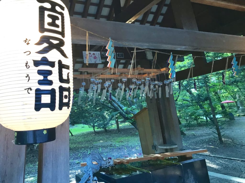 帯広市　お参り　お詣り　参拝　帯広神社　帯廣神社　花手水　夏詣　帯広観光　令和5年　2023年　北海道　散歩