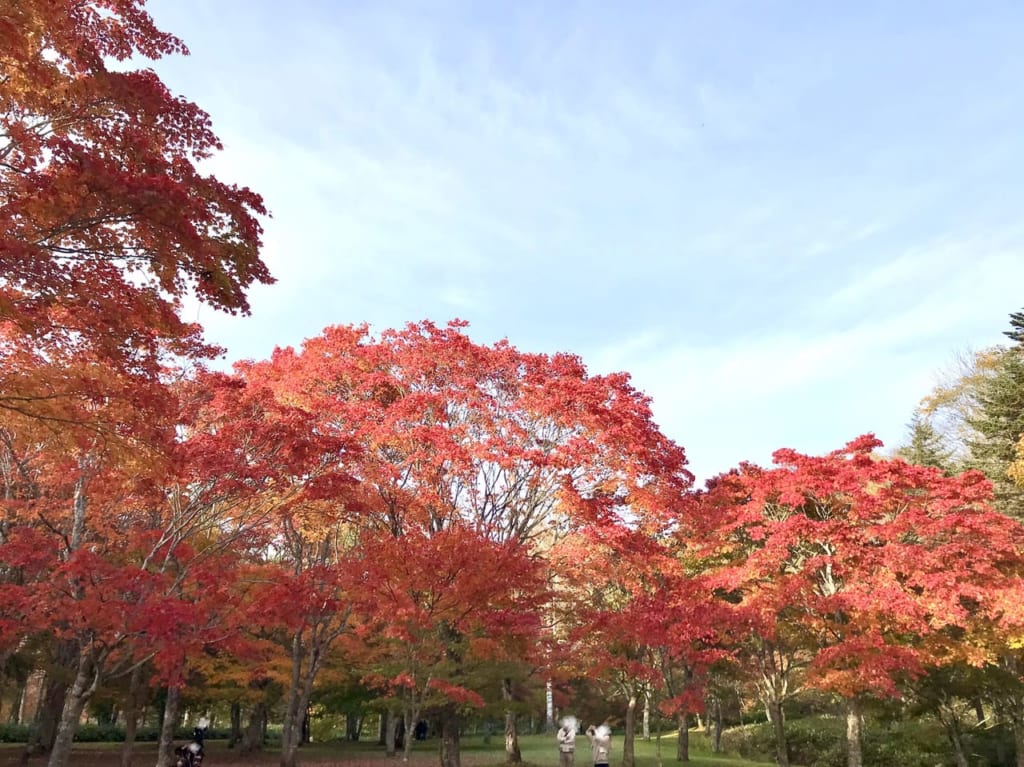 福原山荘　帯広市　鹿追町　紅葉　2023年　ドライブ　見ごろ　もみじ　