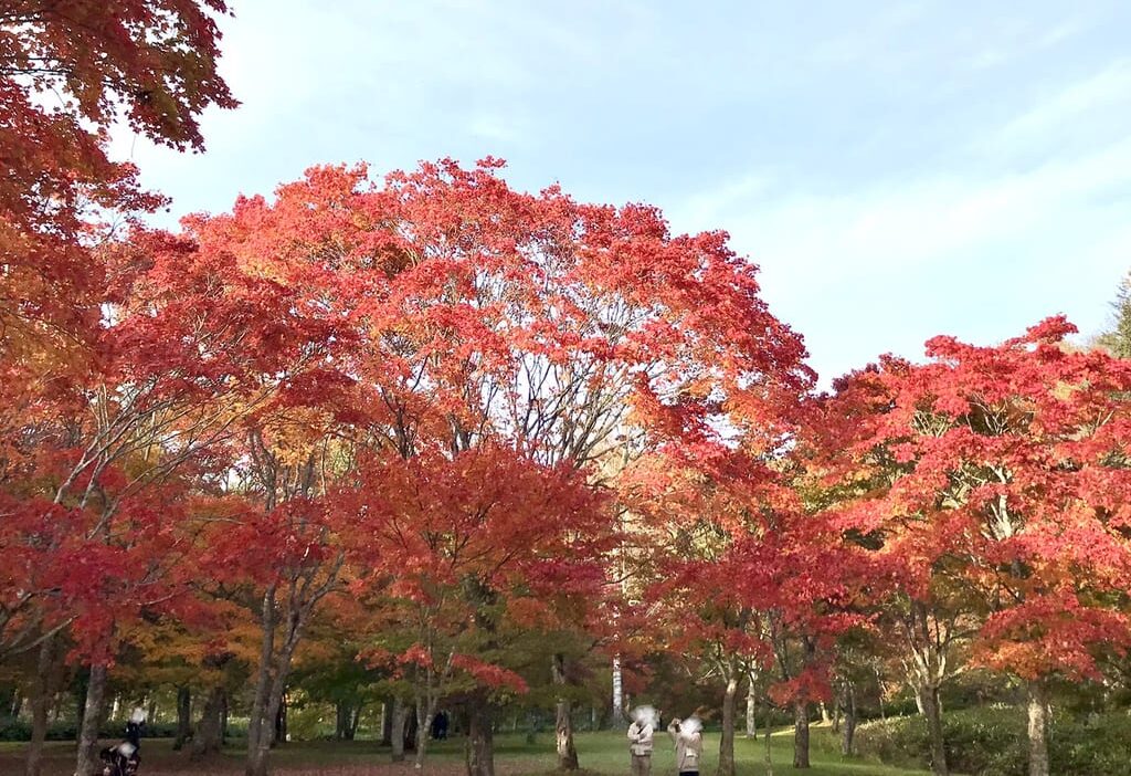2025年　一般開放　2025年9月27日（土）～10月19日（日）　熊　クマ　飲食禁止　福原山荘　帯広市　鹿追町　紅葉　2023年　ドライブ　見ごろ　もみじ　
