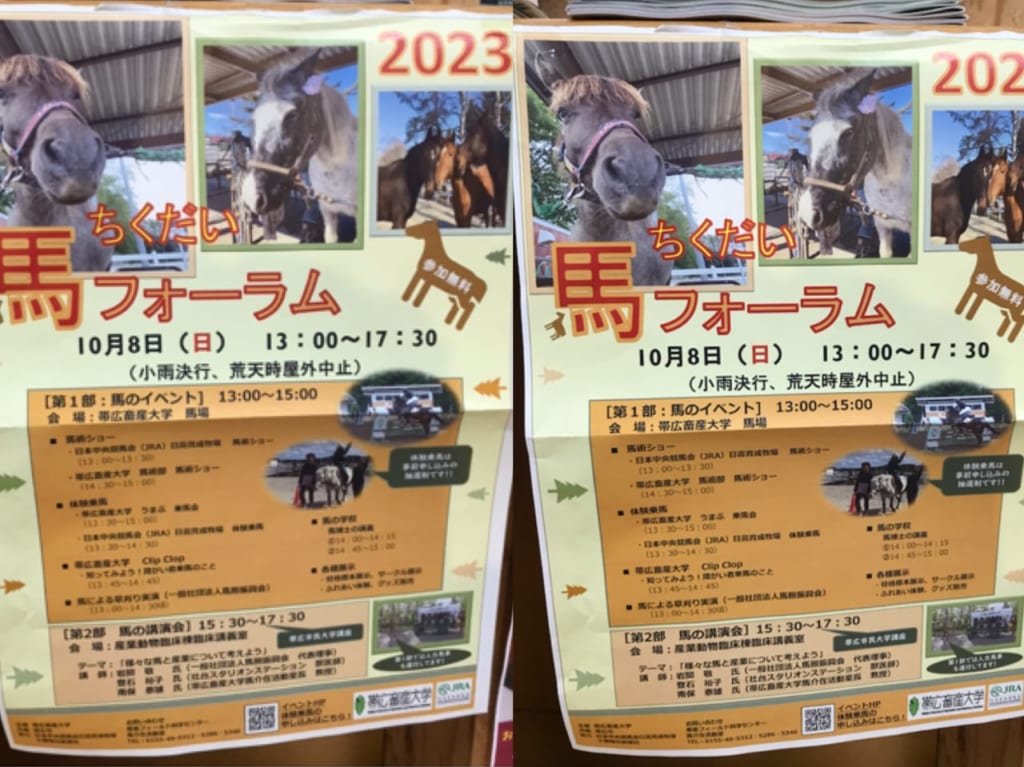 帯広市　イベント　ちくだい 馬フォーラム　2023年10月8日（日）13時～　会場　帯広畜産大学馬場　畜大祭　帯広畜産大学