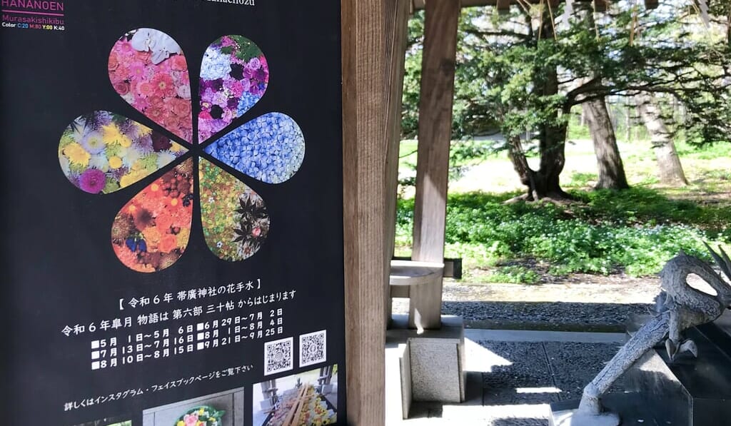 帯広市　お参り　お詣り　参拝　帯広神社　帯廣神社　花手水　夏詣　帯広観光　令和5年　2023年　北海道　散歩　令和6年　2024年　観光　お出掛け　十勝