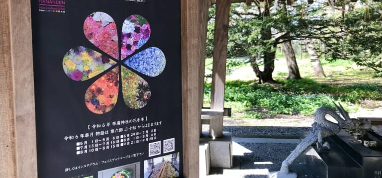 帯広市　お参り　お詣り　参拝　帯広神社　帯廣神社　花手水　夏詣　帯広観光　令和5年　2023年　北海道　散歩　令和6年　2024年　観光　お出掛け　十勝