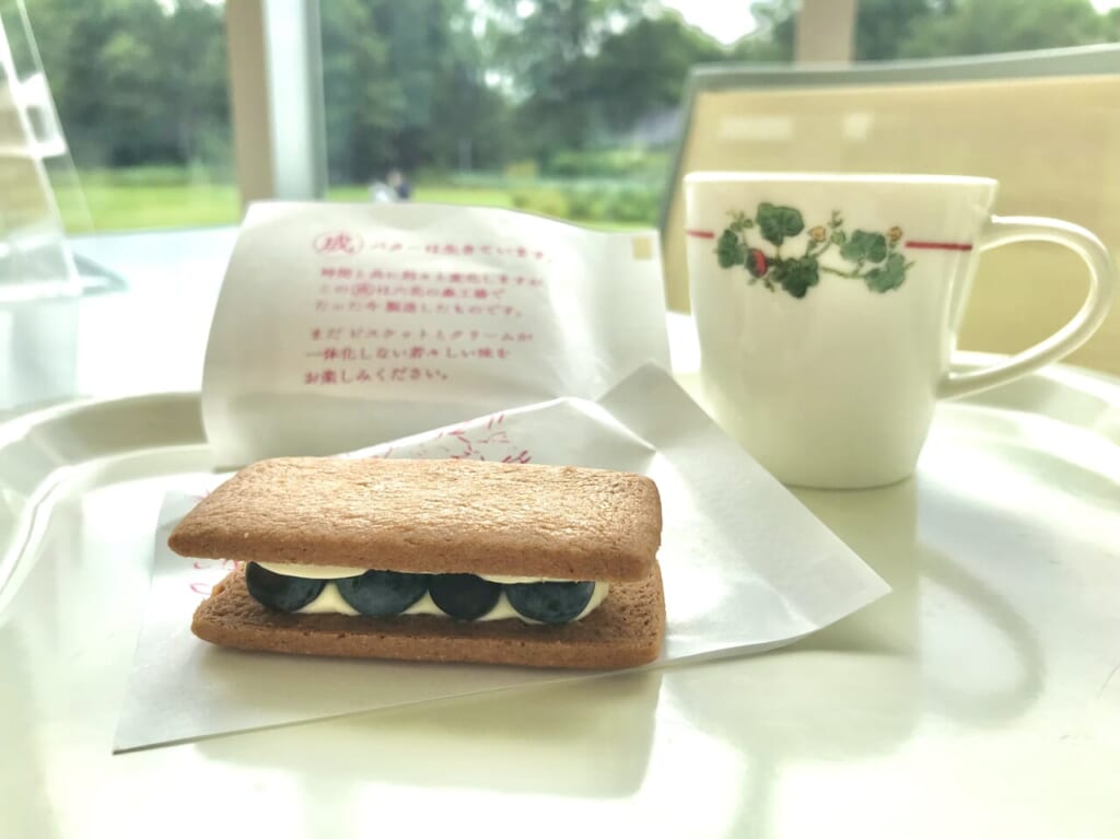 六’café　ロッカフェ　北海道　帯広市　六花亭　マルセイバターサンド　ブルーベリー　季節の味　期間限定　オリジナルグッズ　販売　ショップ　カフェ　併設　テイクアウト　喫茶　カフェ　北海道河西郡中札内村常盤西3線 249-6　十勝　限定　雪やこんこ　まじりっけなし　マルセイアイスサンド　帯広本店　メニュー　ラストオーダー　2024年　ニュー　新しい
