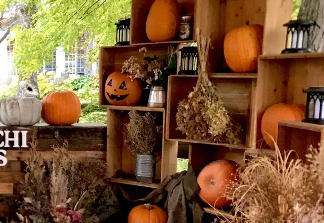 写真映像工房くろかりんとう　ハロウィンフォトブース撮影会　帯広カメラマン　帯広写真　プロカメラマン　子ども　家族　ファミリー　フォトブース　撮影会　仮装　人気カメラマン　素敵　岡書帯広イーストモール店　帯広市　帯広カメラ　帯広くろかりんとう　イメージ　秋のロケーションフォト　ファミリーPHOTO　帯広カメラマン　帯広写真　帯広人気カメラマン　動画　発表会　人気　撮影　撮影会　2025年10月18日（土）　10月19日（日）　十勝ヒルズ　Halloween　ハロウィンキッズ撮影会　帯広カメラマン　帯広写真館　帯広写真スタジオ　観光スポット　人気カメラマン帯広　十勝　幕別町　完全予約制　データ納品　〒089-0574 北海道中川郡幕別町日新１３−５