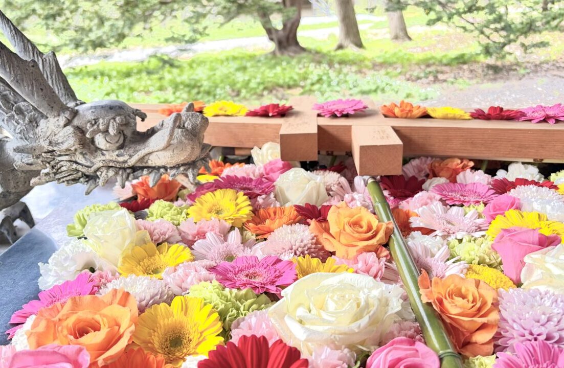 帯広神社 帯廣神社 〒080-0803 北海道帯広市東3条南2丁目1番地 2026年 8月12日 8月13日 8月14日 8月15日 夏詣 花手水 とこなつ TOKONATSU 第四十五帖 水中ライトアップ ライトアップ 期間限定 一夜限り 夜間参拝 18:00〜21:00 手水舎 境内 鳥居 参道 本殿 授与所 御朱印 限定御朱印 お守り えぞみくじ シマエナガ おみくじ 北海道 十勝 帯広 音更 幕別 芽室 とかち 観光 旅行 ドライブ デート スポット イベント 行事 まつり お祭り 夏祭り 国内旅行 避暑地 パワースポット 神社仏閣 参拝 参詣 綺麗 美しい 雅 芸術 アート 映え SNS インスタ映え フォトジェニック カラフル 色鮮やか ひまわり 向日葵 紫陽花 アジサイ ダリア バラ 薔薇 季節の花 演出 装飾 飾り デザイン トレンド 癒やし 風物詩 夜景 イルミネーション 光 幻想的 神秘的 写真 撮影 カメラ 一眼レフ ミラーレス スマホ撮影 女子旅 家族旅行 子連れ お出かけ 週末 お盆休み 夏休み 旅行記 ブログ ローカル観光 帯広駅 とかち帯広空港 帯広観光 駐車場無料 アクセス ランキング おすすめ 人気 話題 トレンド ニュース　帯廣神社　花手水　はなちょうず　2026年　令和8年　スケジュール　■花見始の花手水 ～HATSUNE～ 《第四十二帖》 R8 5月 1日～5月 6日（予定） ■夏詣の花手水 ～TOKONATSU～ 《第四十三帖》 R8 6月30日～7月 2日（予定） 《第四十四帖》 R8 7月18日～7月20日（予定） 《第四十五帖》 R8 8月 1日～8月 3日（予定） 《第四十六帖》 R8 8月12日～8月15日（予定） ■例祭の花手水 ～MIYUKI～ 《第四十七帖》 R8 9月23日～9月27日（予定）　禁止行為　ペット禁止　撮影OK　映え　十勝　観光　帯広観光　参拝　お花　駐車場　十勝総合振興局　〒080-0803 北海道帯広市東３条南２丁目１　カフェグリーン　おでかけ　ゴールデンウィーク