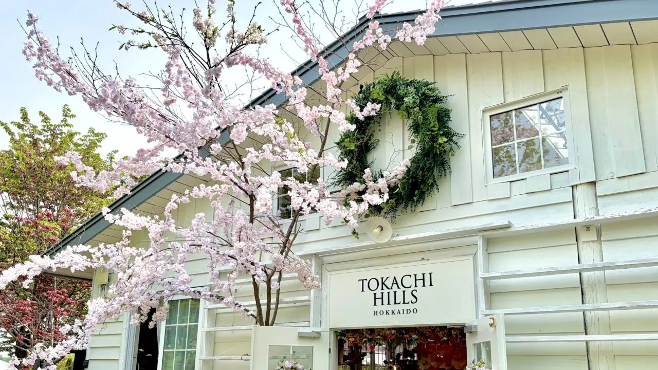 〒089-0574 北海道 中川郡 幕別町 字日新13-5 十勝ヒルズ 2026年6月21日 日曜日 初夏 6月 MEISON de NORTH at 十勝 メゾンデノース マルシェ イベント ハンドメイド クラフト 雑貨市 出店 作家 一点物 アクセサリー 衣服 陶芸 キャンドル 木工 刺繍 フード スイーツ 焼き菓子 パン キッチンカー 珈琲 アンブレラスカイ COLORFUL カラフル 傘 アート 観光地 庭園 ガーデン ドライブ お出かけ 帯広 十勝 満月屋 ぼくつめ Ritto cuddle 十五島BAKEHOUSE NADURA オノリシャス LARMES COFFEE アンブレラスカイ