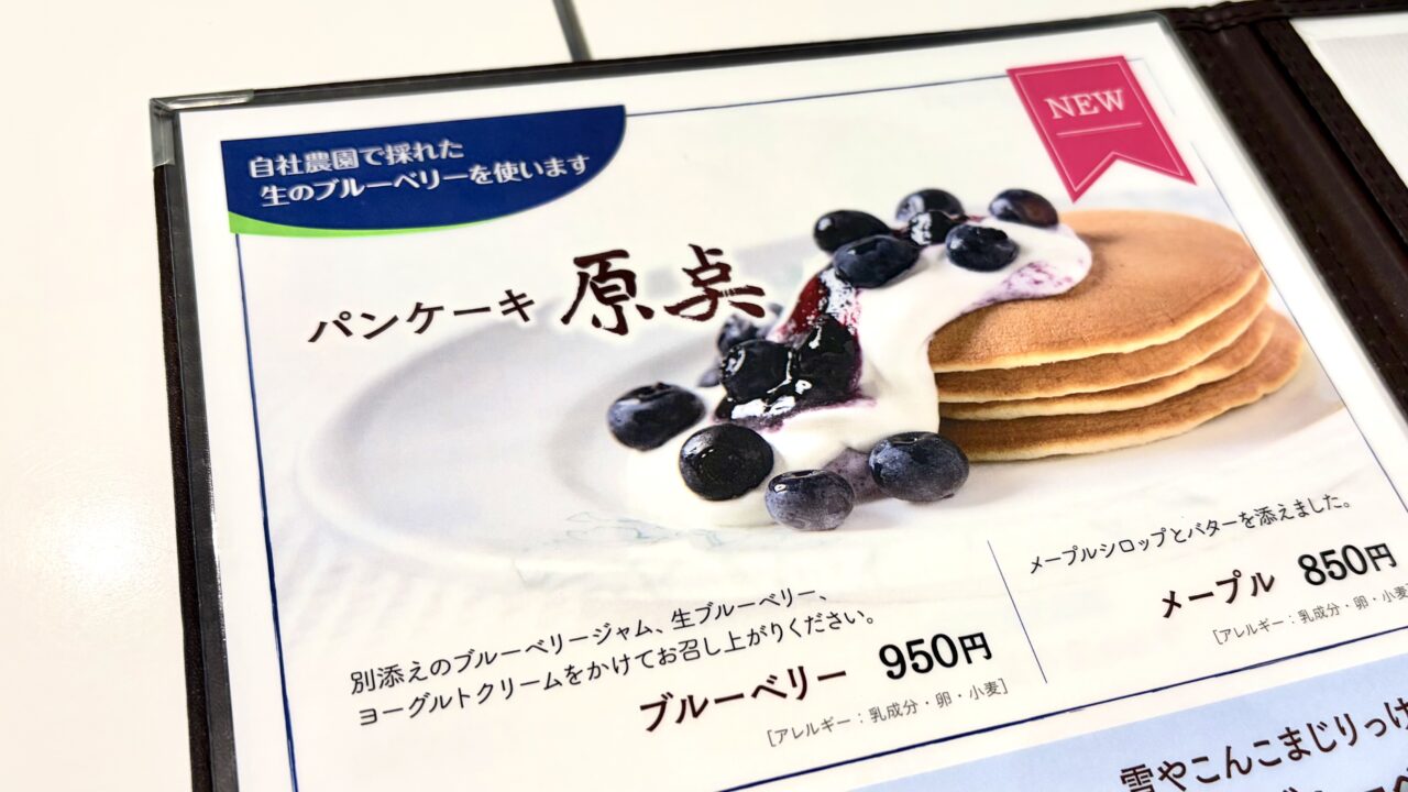 六花亭 ろっかてい 2026年 喫茶室 カフェ 店舗 帯広本店 〒080-0012 北海道帯広市西2条南9丁目6 帯広西三条店 〒080-0013 北海道帯広市西3条南1丁目1-1 パンケーキ原点 パンケーキ ホットケーキ ブルーベリー メープル ヨーグルトクリーム バター メープルシロップ スイーツ デザート 生果実 自社農園 期間限定 8月16日まで 数量限定 グルメ ご当地グルメ お取り寄せ 北海道銘菓 十勝 帯広 観光 旅行 お出かけ ドライブ デート お盆休み 夏休み 女子旅 贅沢 美味しい 綺麗 写真 撮影 インスタ映え SNS 話題 トレンド ランキング おすすめ 人気 ニュース 食べ歩き カフェ巡り ランチ マルセイバターサンド サクサクパイ