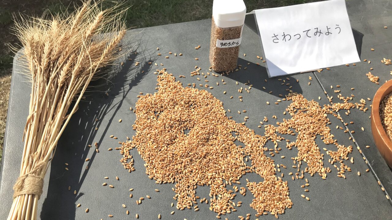 道の駅おとふけ おとふけ一番小麦 限定メニュー グルメ ランチ 十勝グルメ 音更町ランチ 三浦農場 小麦畑 巨大アート 高所作業車 畑の中のクルーズ キッチンカー 出店 道の駅ガーデンスパ十勝川温泉 麦わら ヒンメリ アート展示 豆プール ハイジベッド 子供向け体験 音更町 麦感祭2026 イベント 十勝 北海道 収穫祭 夏祭り 観光 スポット ドライブ 子連れ ファミリー お出かけ 旅行 地元密着 穫れたて 小麦 五感 体感 ウォーキングオルゴール なつぞらのふる里 十勝川温泉 2026年8月8日 8月8日 土曜日 開催日 日時 8月イベント 週末お出かけ 帯広周辺 地域活性化 農業王国 〒080-0346 北海道河東郡音更町なつぞら2 〒080-0151 北海道河東郡音更町東和東1線18-16 〒080-0262 北海道河東郡音更町十勝川温泉北14丁目1 帯広駅 音更帯広IC 駐車場無料 アクセス 行き方 十勝観光 北海道旅行 夏休み 8月旅行 お盆休み 柳月スイートピアガーデン 木野 鈴蘭 音更神社 ハナック 音更町イベント 帯広イベント 十勝イベント とかち 夏の風物詩 パン王国 フードイベント 家族向け 無料イベント 屋外イベント インスタ映え フォトスポット 夏休みの思い出 自由研究 農業体験